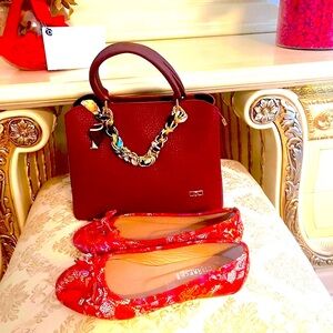 Elegant Burgundy Handbag and shoe set .